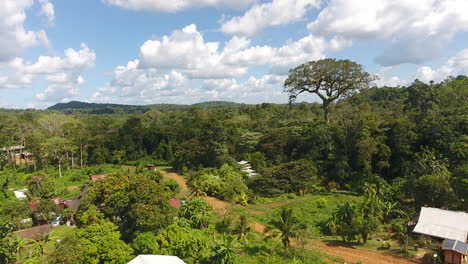 Luftaufnahme-Eines-Riesenbaums-(Ceiba-Pentandra)-Saül-Village-Guayana-Amazonas-Park